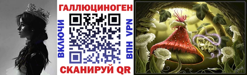 Галлюциногенные грибы Cubensis  Купить где  Лесосибирск 